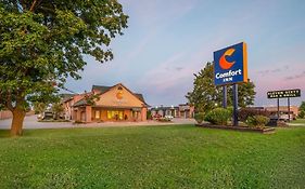 Comfort Inn